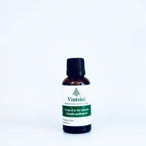 Verge d'or du Canada